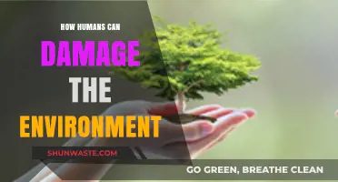Human Actions, Environmental Consequences: Understanding Our Impact on the Planet