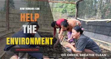 Sustainable Actions: How Humans Can Protect and Restore Our Environment