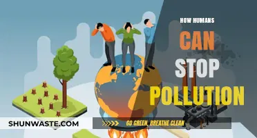 Empowering Change: Simple Steps to Combat Pollution and Protect Our Planet