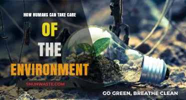 Sustainable Living: Simple Steps for Humans to Protect Our Planet