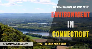 Connecticut's Resilience: How Humans Adapt and Thrive in a Changing Environment