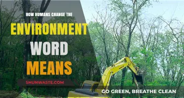 Human Impact: Redefining the Environment's Meaning Through Actions and Choices