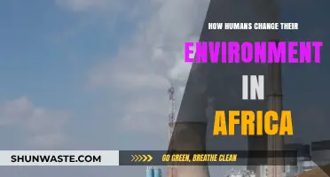 Human Impact on Africa's Environment: Transformations and Consequences