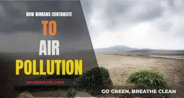 Human Activities: Major Air Polluters