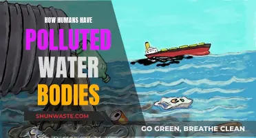 Human Impact: The Dark Side of Water Pollution