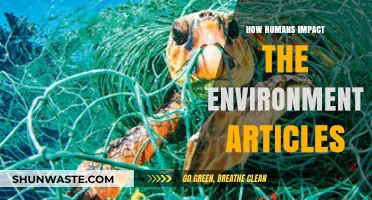 Human Footprint: Exploring Our Impact on the Environment and Solutions