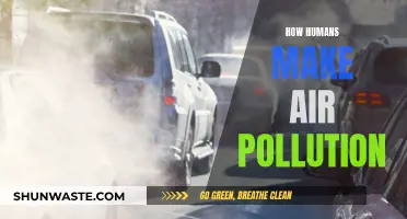 Human Activities: The Air Polluters