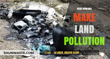 Human-Induced Land Pollution: A Global Crisis
