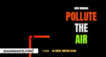 Human Activities Pollute the Air Severely