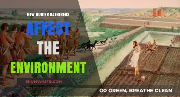 Hunter-Gatherer Impact: Shaping Ecosystems and Environmental Sustainability