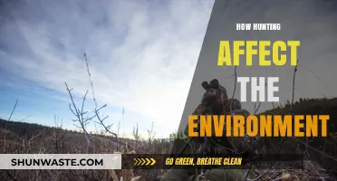 Hunting's Impact: Environmental Consequences and Ecosystem Balance Explored