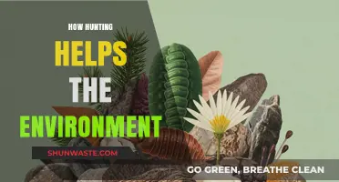Sustainable Hunting: Preserving Ecosystems and Supporting Environmental Balance