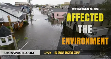 Hurricane Katrina's Environmental Impact: Devastation, Recovery, and Long-Term Effects