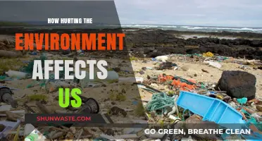 Environmental Damage: How Our Actions Harm Us and the Planet