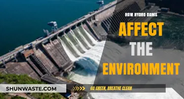 Hydro Dams: Environmental Impacts and Ecosystem Disruptions Explained