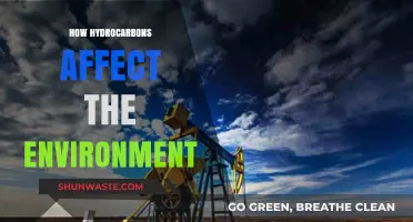 Hydrocarbons' Environmental Impact: Pollution, Climate Change, and Ecosystem Disruption Explained