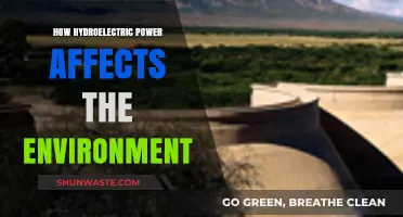 Hydroelectric Power's Environmental Impact: Benefits, Challenges, and Sustainability