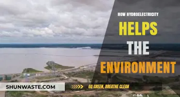 Hydroelectric Power: A Sustainable Solution for Environmental Conservation
