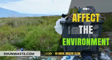 My Daily Choices: How I Impact the Environment and Why It Matters
