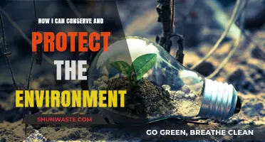 Sustainable Living: Simple Steps to Protect and Preserve Our Planet