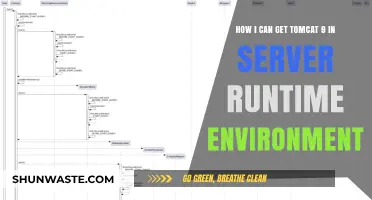 Deploying Tomcat 9: A Guide to Server Runtime Environment Setup