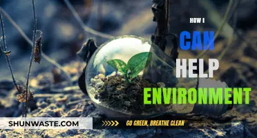 Sustainable Steps: Simple Ways to Protect and Preserve Our Planet