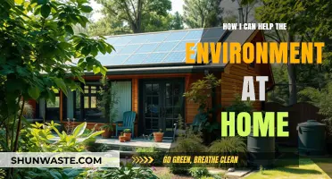 Simple Eco-Friendly Home Habits to Protect Our Planet Daily