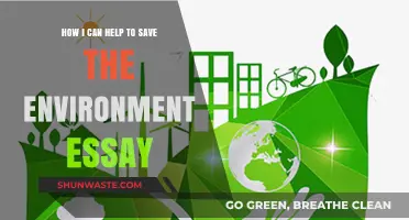 Simple Ways to Contribute: Saving Our Environment Through Everyday Actions