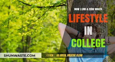 Sustainable College Living: My Zero Waste Journey and Practical Tips