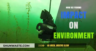 Ice Fishing's Environmental Impact: Balancing Recreation and Ecosystem Preservation