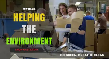 IKEA's Green Revolution: Sustainable Practices for a Healthier Planet