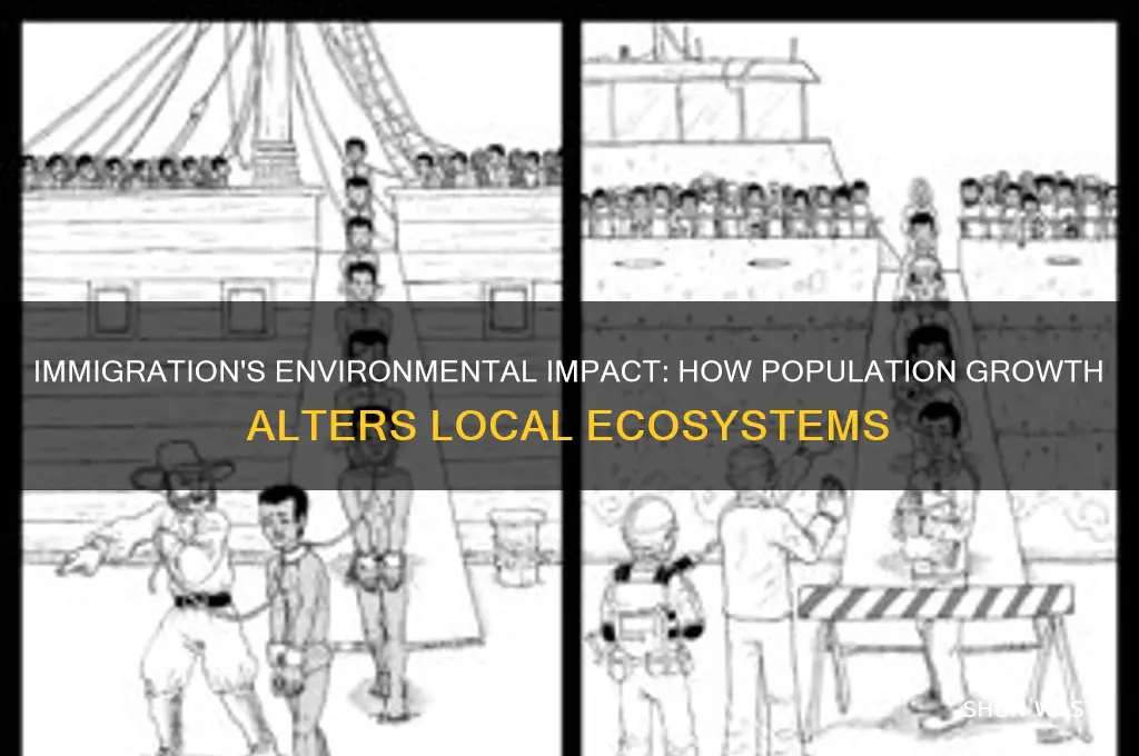 how immigration influx certain area affect the environment