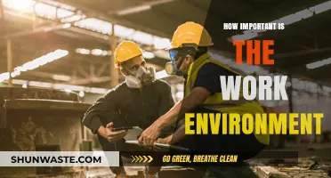 The Impact of Work Environment on Productivity and Employee Satisfaction
