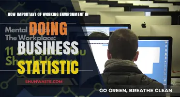 The Impact of Working Environment on Business Statistics Success