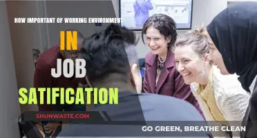 The Impact of Work Environment on Employee Job Satisfaction