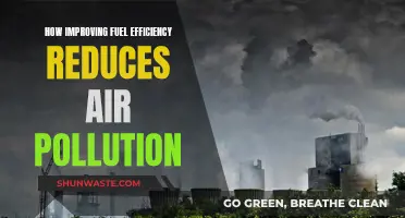 Fuel Efficiency: Reducing Air Pollution, Improving Our Future