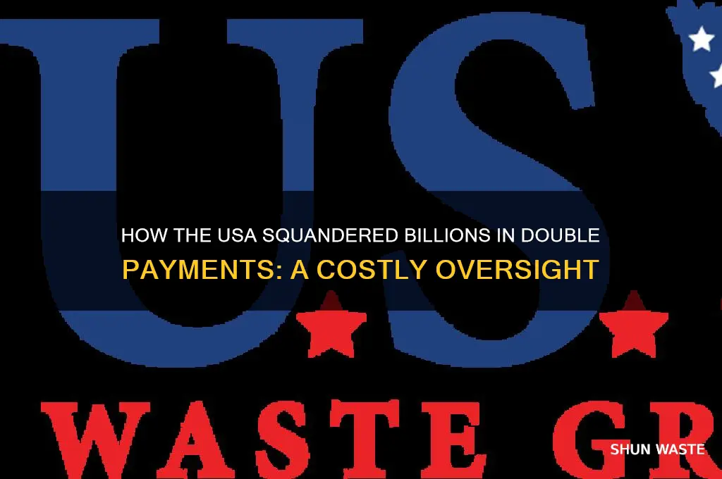 how in double paymets did the usa waste