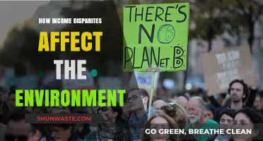 Income Inequality's Hidden Toll: Environmental Consequences of Wealth Disparities