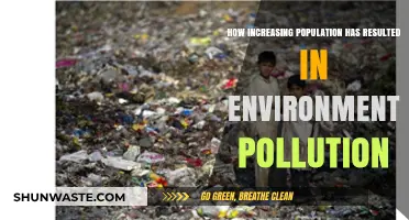 Population Boom: Environmental Pollution's Bane