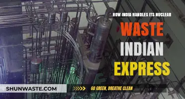 India's Nuclear Waste Management: Strategies and Challenges Explored
