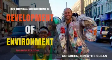 Sustainable Steps: How Individuals Drive Environmental Development and Change
