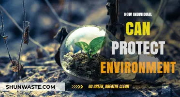 Sustainable Living: Simple Steps for Individuals to Protect Our Environment