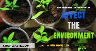 Sustainable Choices: How Your Daily Consumption Impacts the Environment