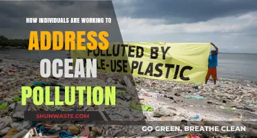 Innovative Solutions to Combat Ocean Pollution