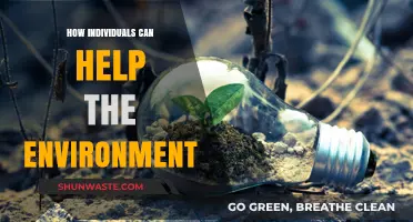 Sustainable Steps: Simple Ways Individuals Can Protect Our Planet
