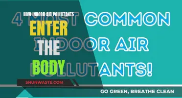 Air Pollutants: How Do They Enter Our Bodies?