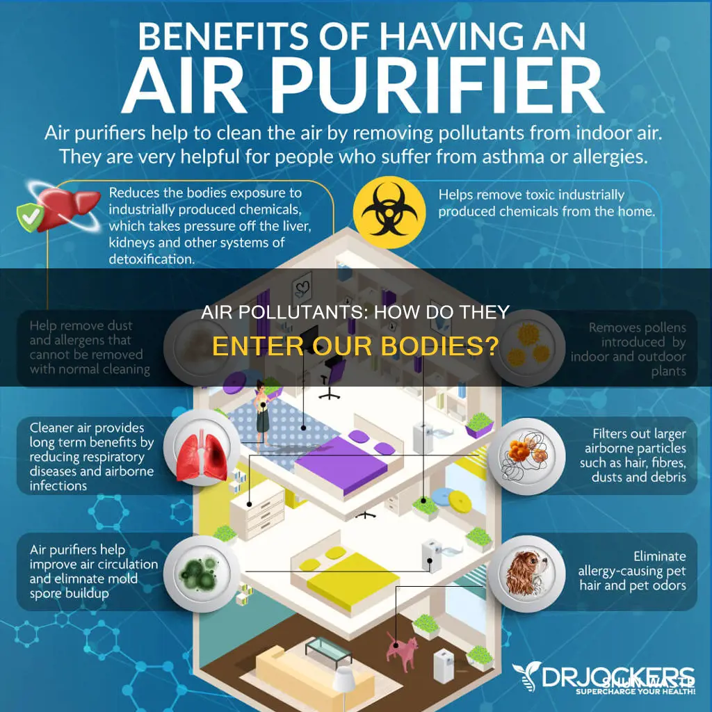 how indoor air pollutants enter the body