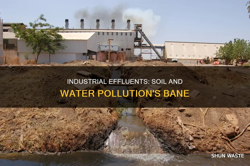 how industrial effluents affect soil and water pollution