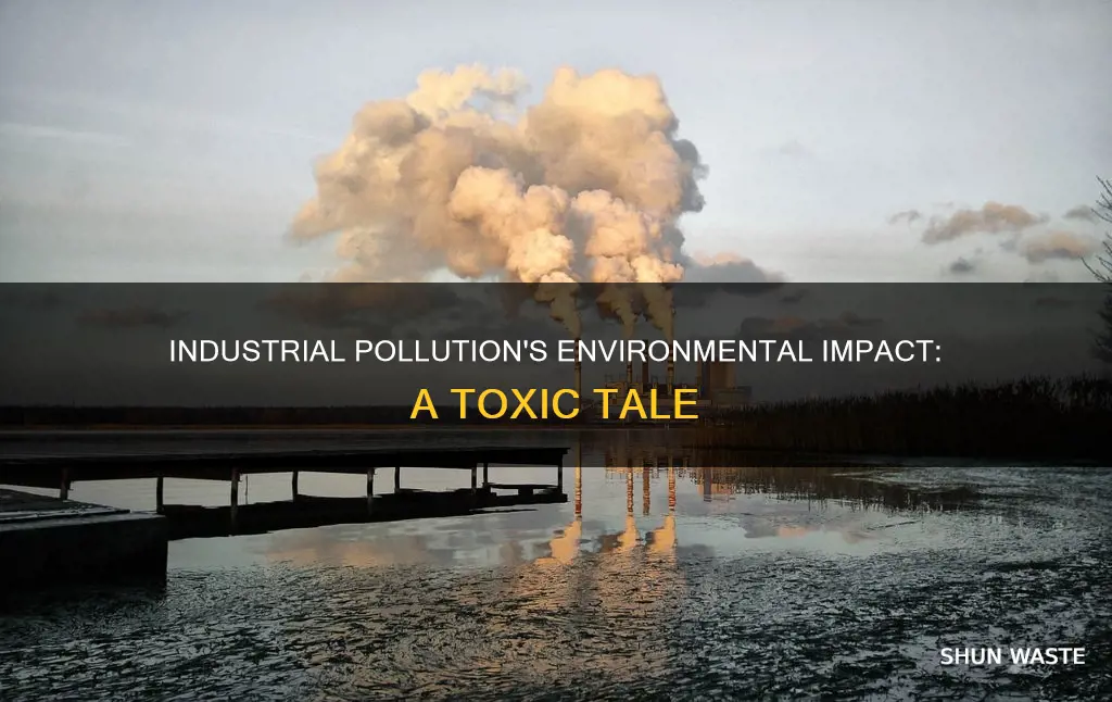 how industrial pollution affect environment