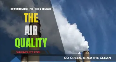 Industrial Pollution: Degraded Air and Health